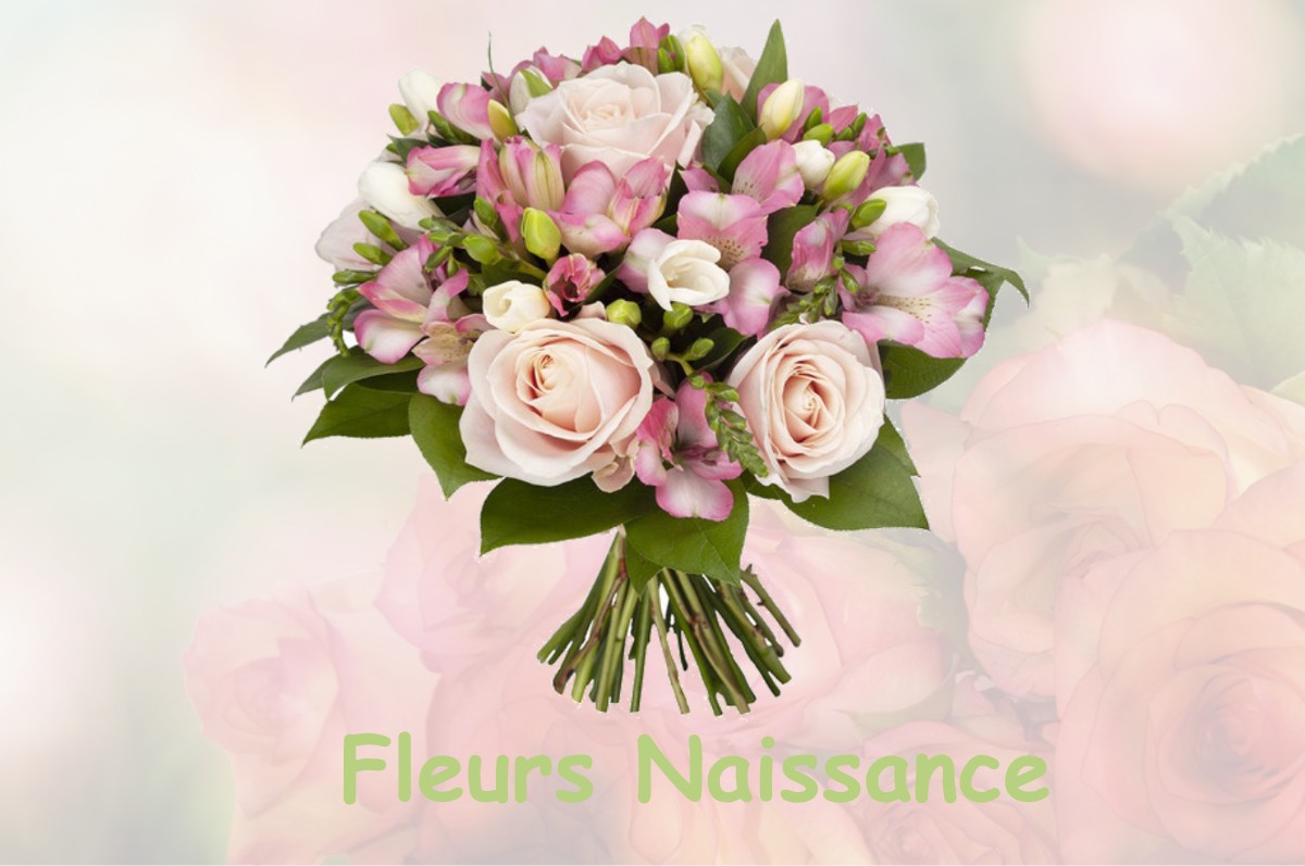 fleurs naissance MONDAVEZAN