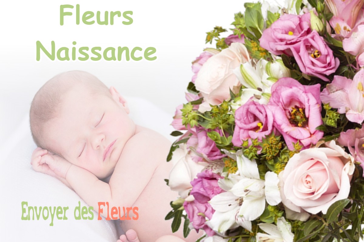 lIVRAISON FLEURS NAISSANCE à MONDAVEZAN